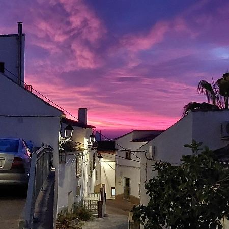 Casa Caballito De Mar Boutique B&BBédar エクステリア 写真