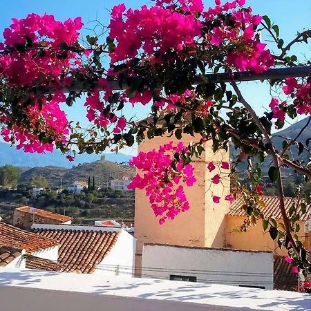 Casa Caballito De Mar Boutique B&BBédar エクステリア 写真