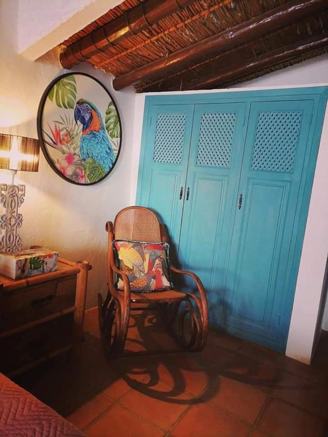 Casa Caballito De Mar Boutique B&BBédar エクステリア 写真