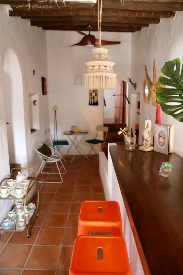 Casa Caballito De Mar Boutique B&BBédar エクステリア 写真