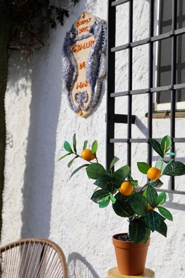 Casa Caballito De Mar Boutique B&BBédar エクステリア 写真