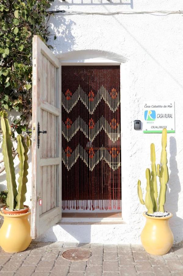 Casa Caballito De Mar Boutique B&BBédar エクステリア 写真