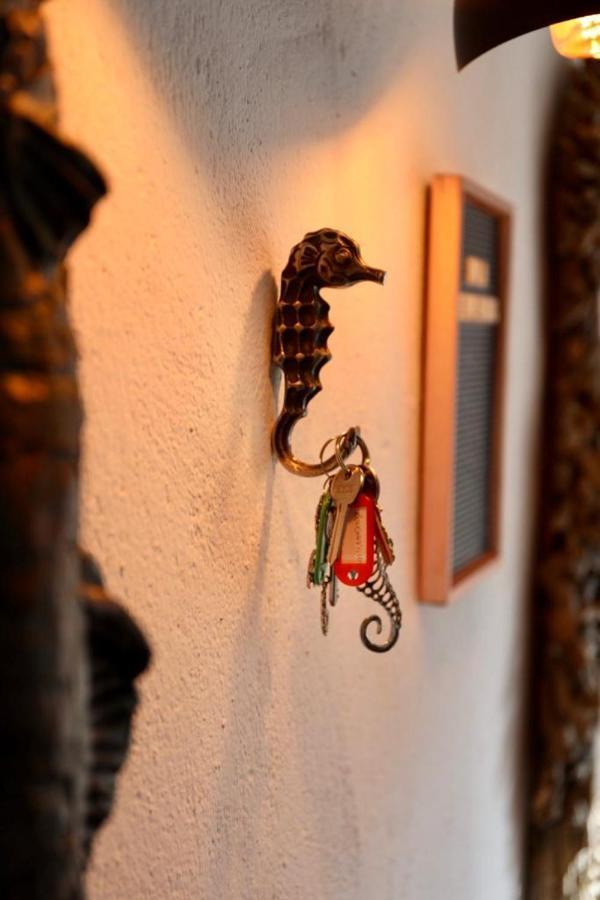 Casa Caballito De Mar Boutique B&BBédar エクステリア 写真