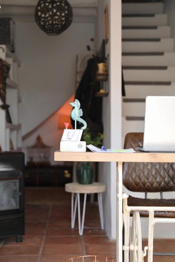 Casa Caballito De Mar Boutique B&BBédar エクステリア 写真