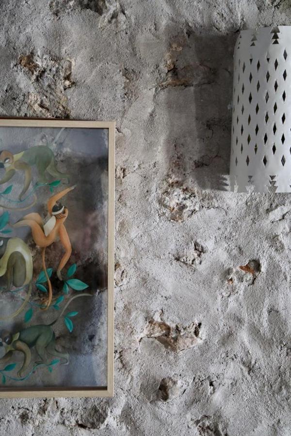 Casa Caballito De Mar Boutique B&BBédar エクステリア 写真