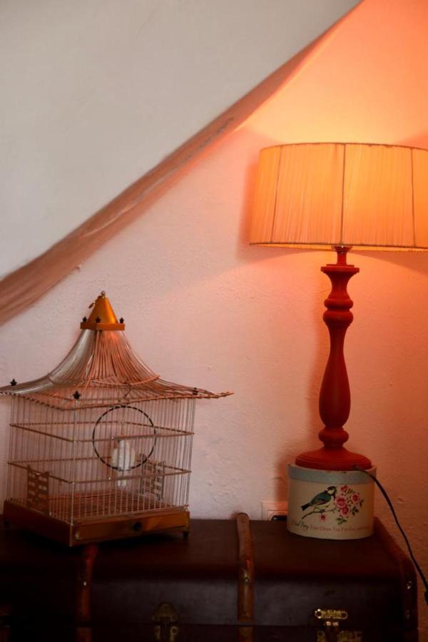 Casa Caballito De Mar Boutique B&BBédar エクステリア 写真