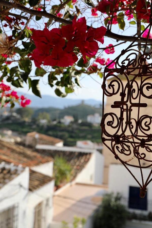 Casa Caballito De Mar Boutique B&BBédar エクステリア 写真