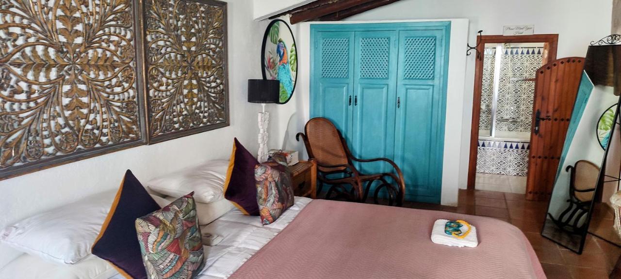 Casa Caballito De Mar Boutique B&BBédar エクステリア 写真
