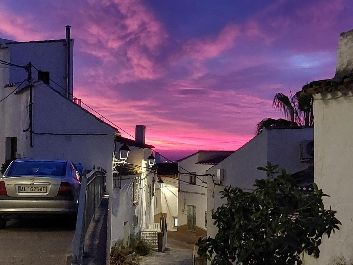 Casa Caballito De Mar Boutique B&BBédar エクステリア 写真