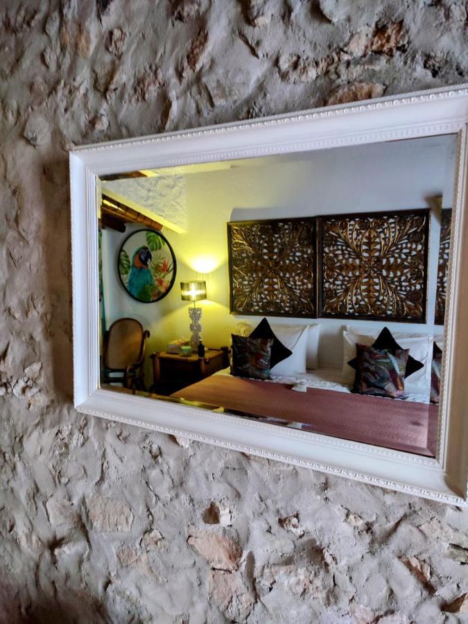 Casa Caballito De Mar Boutique B&BBédar エクステリア 写真