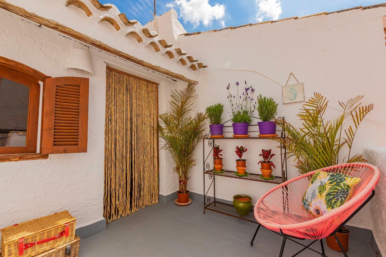 Casa Caballito De Mar Boutique B&BBédar エクステリア 写真