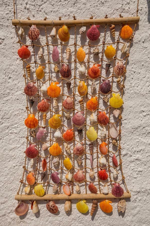 Casa Caballito De Mar Boutique B&BBédar エクステリア 写真