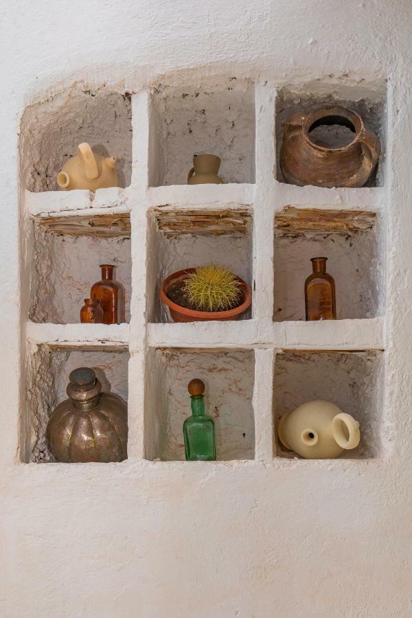 Casa Caballito De Mar Boutique B&BBédar エクステリア 写真